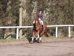 IMG_7776_web